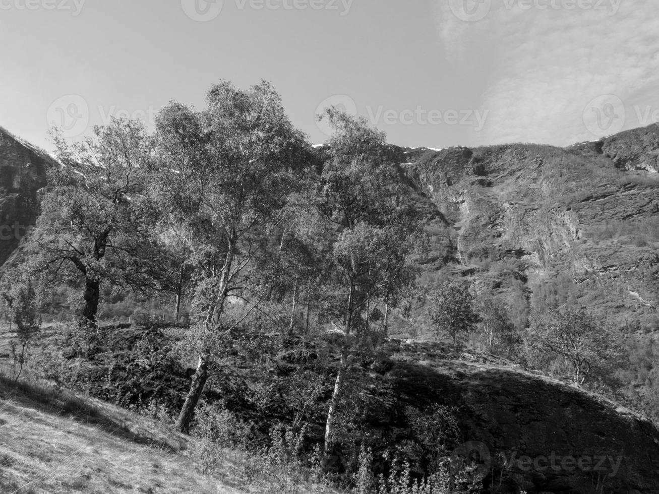 flam in norway photo