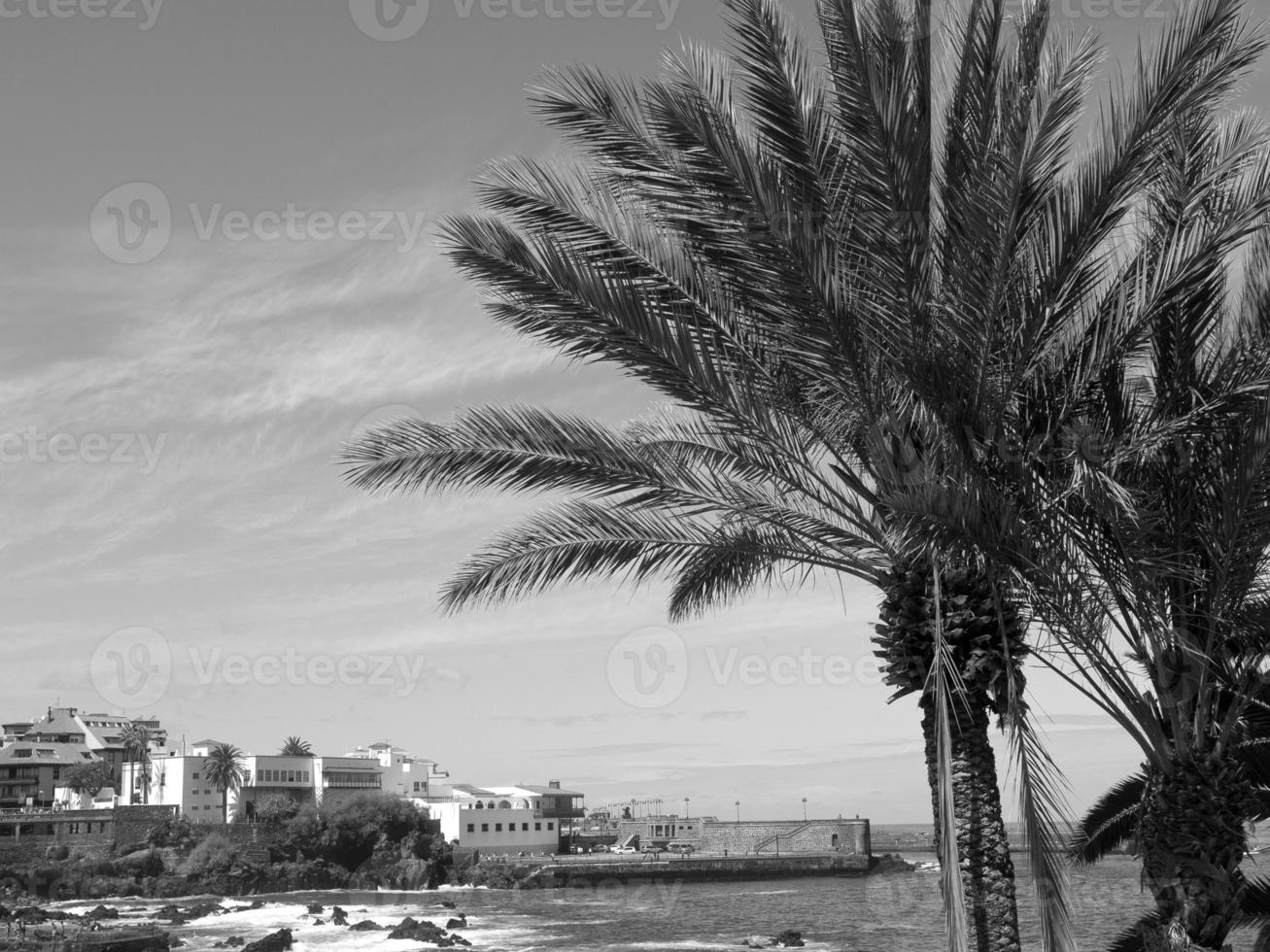 isla de tenerife en españa foto