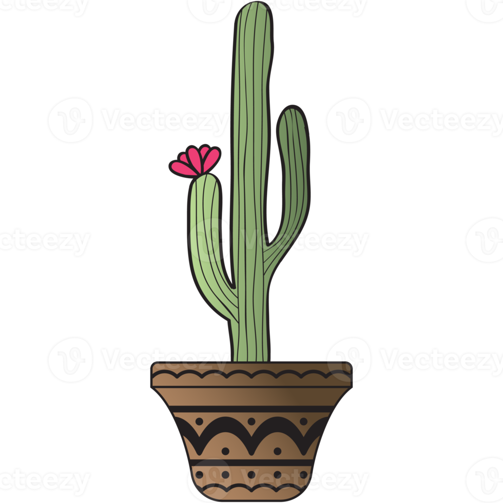 Aesthetic Vintage Cactus Plan Collection png
