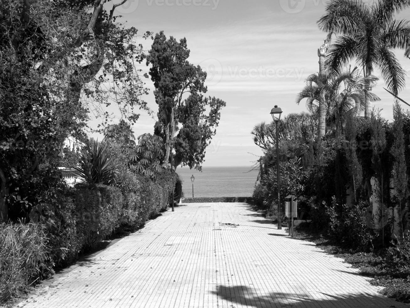 the island of tenerife photo