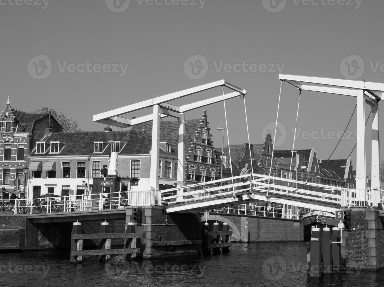 haarlem in the netherlands photo