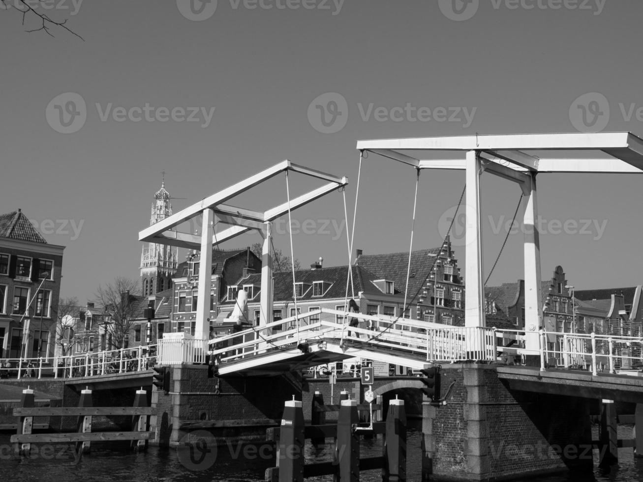 haarlem in the netherlands photo