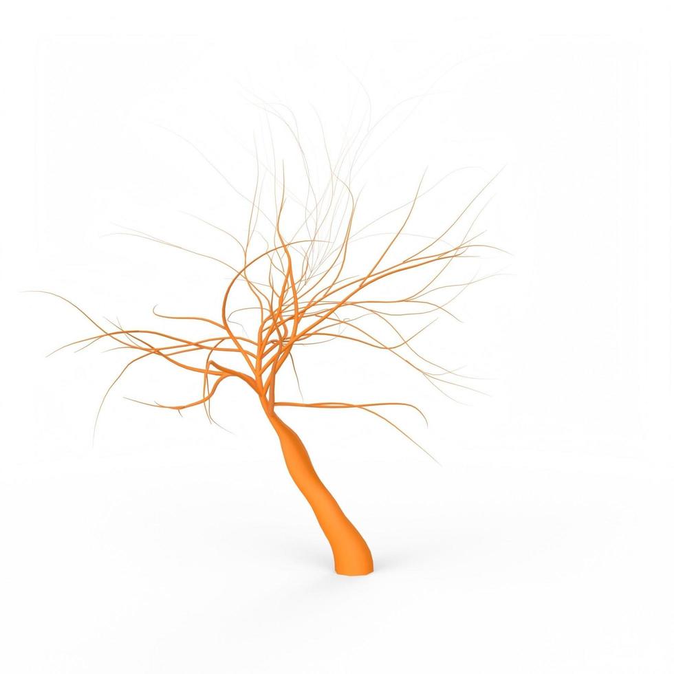 roots isolated on white background photo