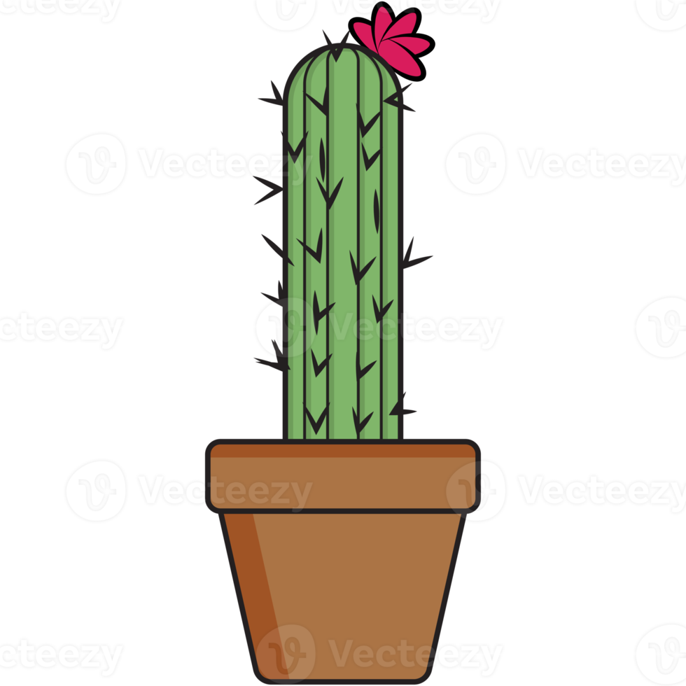 collection de plans de cactus mignons esthétiques png