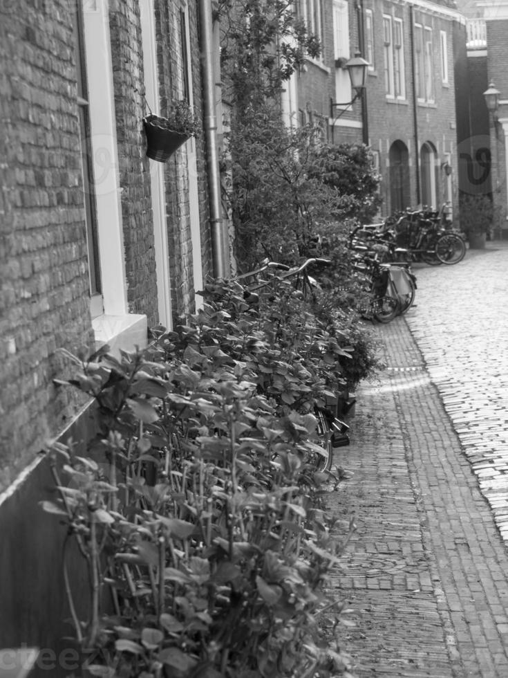 haarlem in the netherlands photo