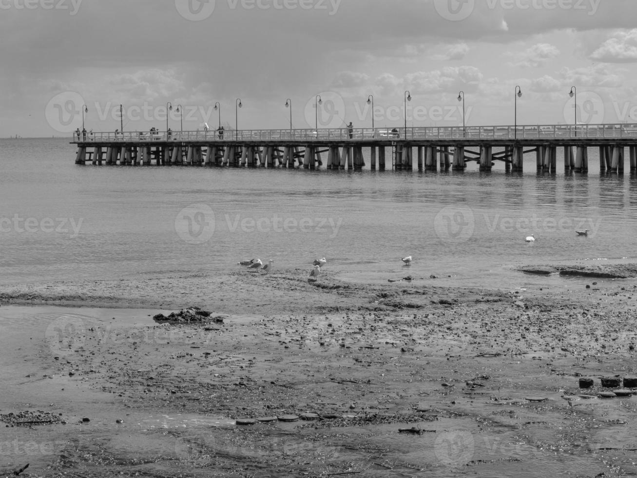 at the baltic sea in poland photo