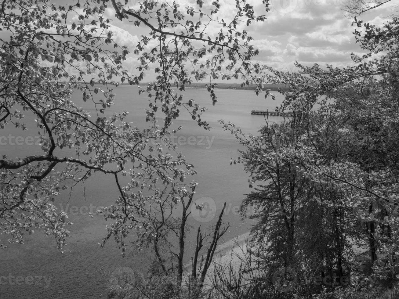 at the baltic sea in poland photo