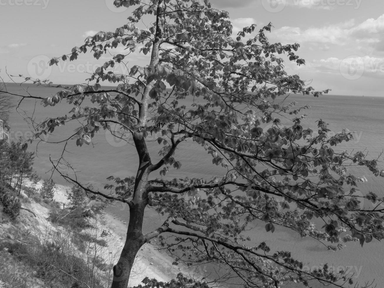 at the baltic sea in poland photo