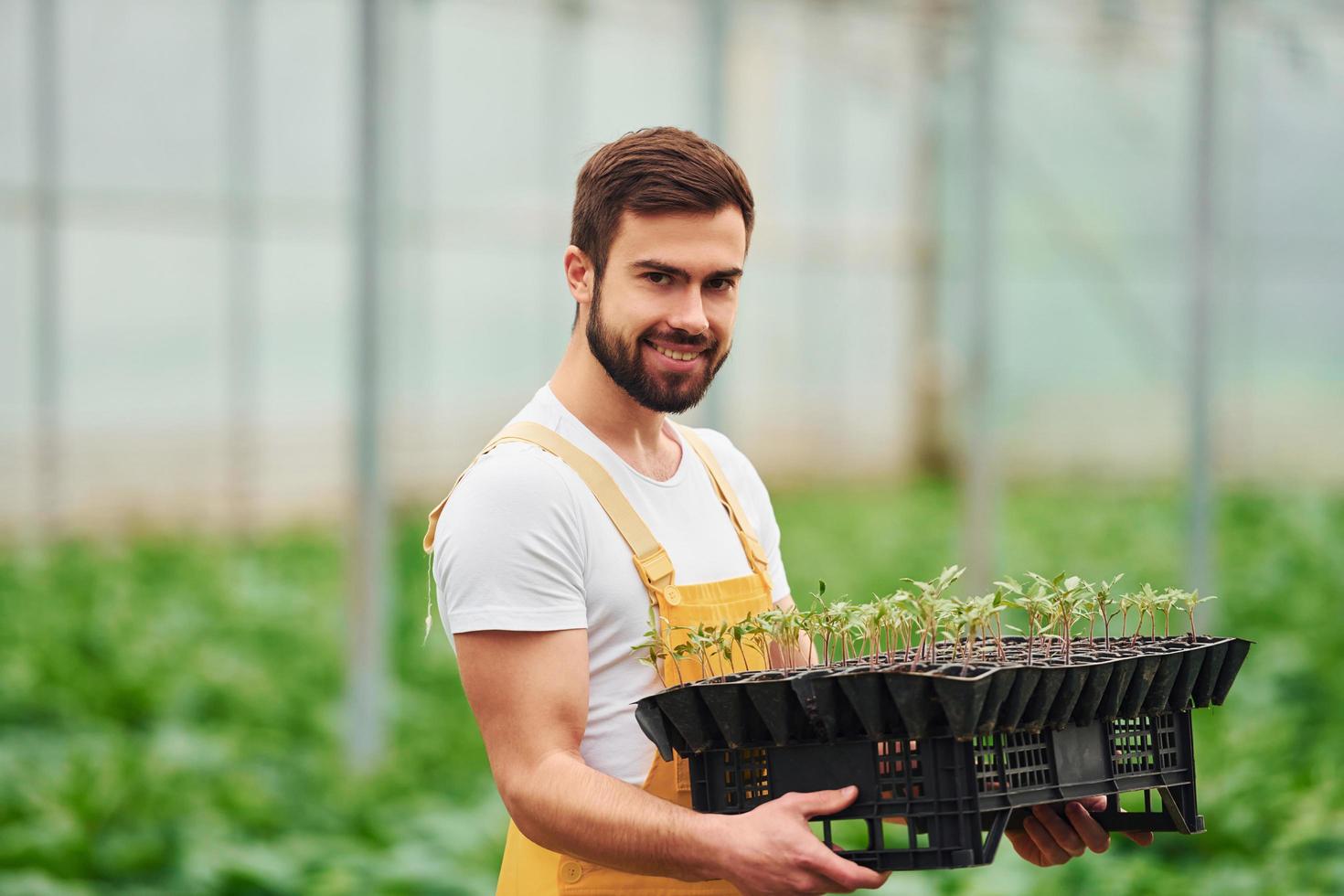 With black stand for plants in hands. Young greenhouse worker in yellow uniform have job inside of hothouse photo