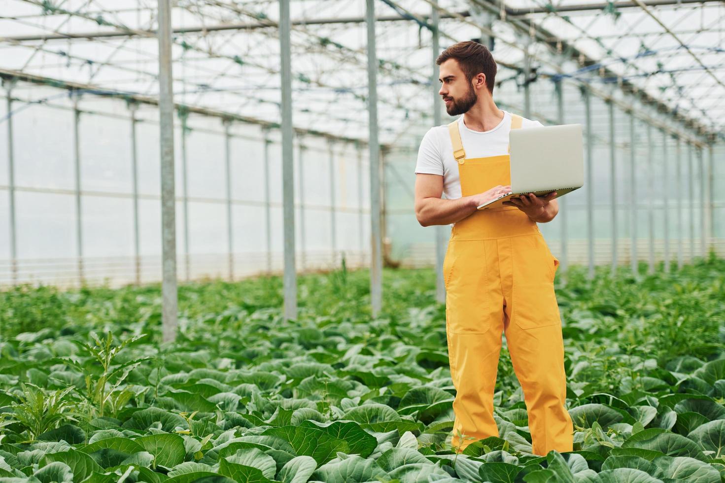 Young greenhouse worker in yellow uniform with laptop in hands have job inside of hothouse photo