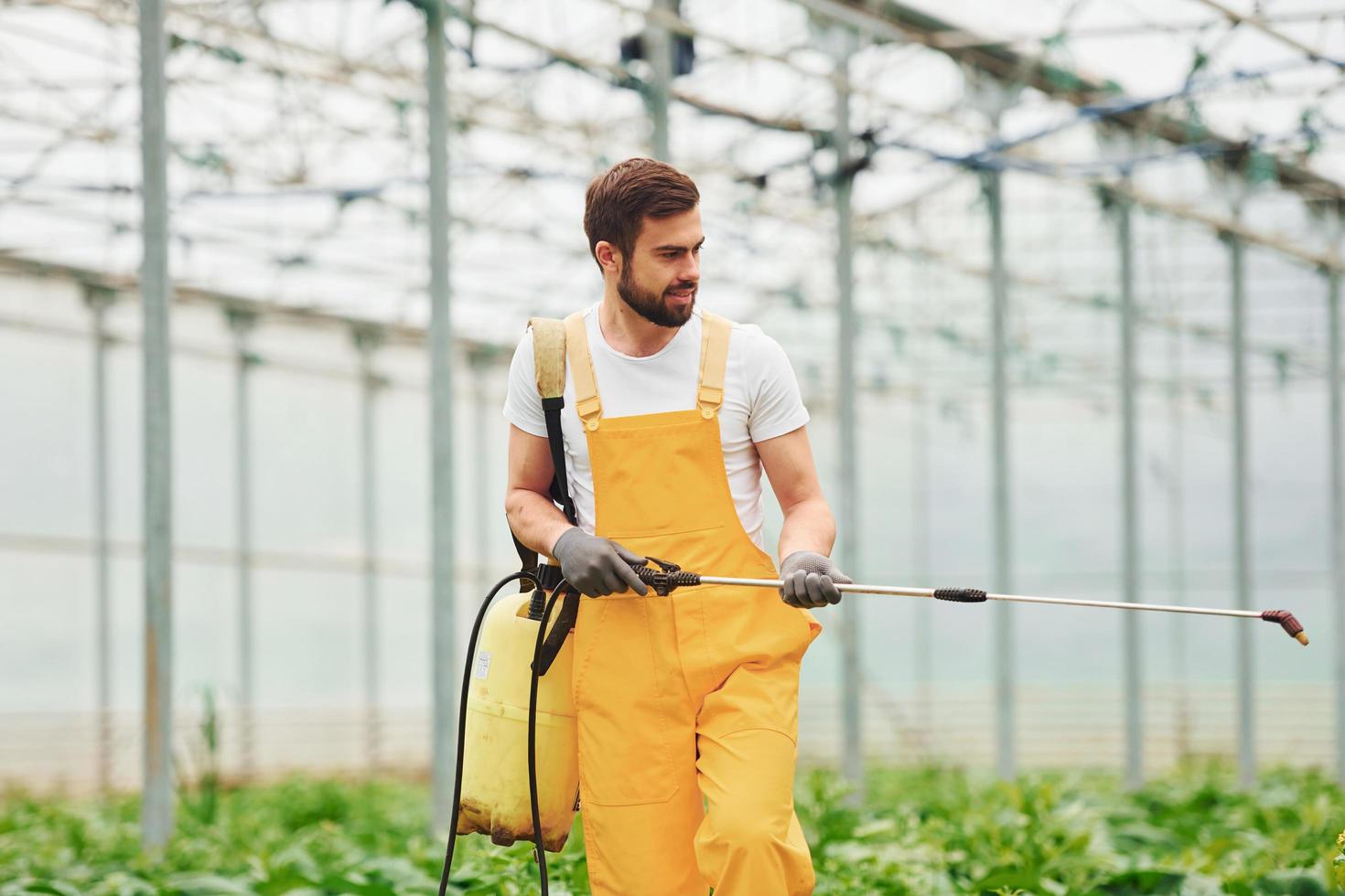 joven trabajador de invernadero en plantas de riego uniformes amarillas usando equipo especial dentro del invernadero foto