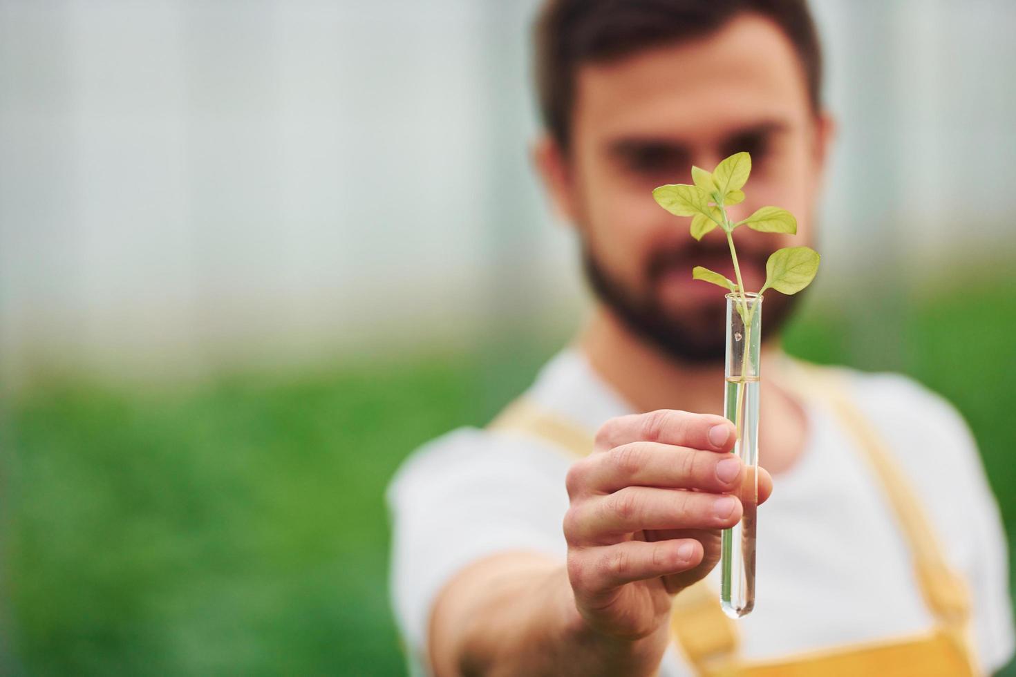 Plant inside of test tube with water. Young greenhouse worker in yellow uniform have job inside of hothouse photo