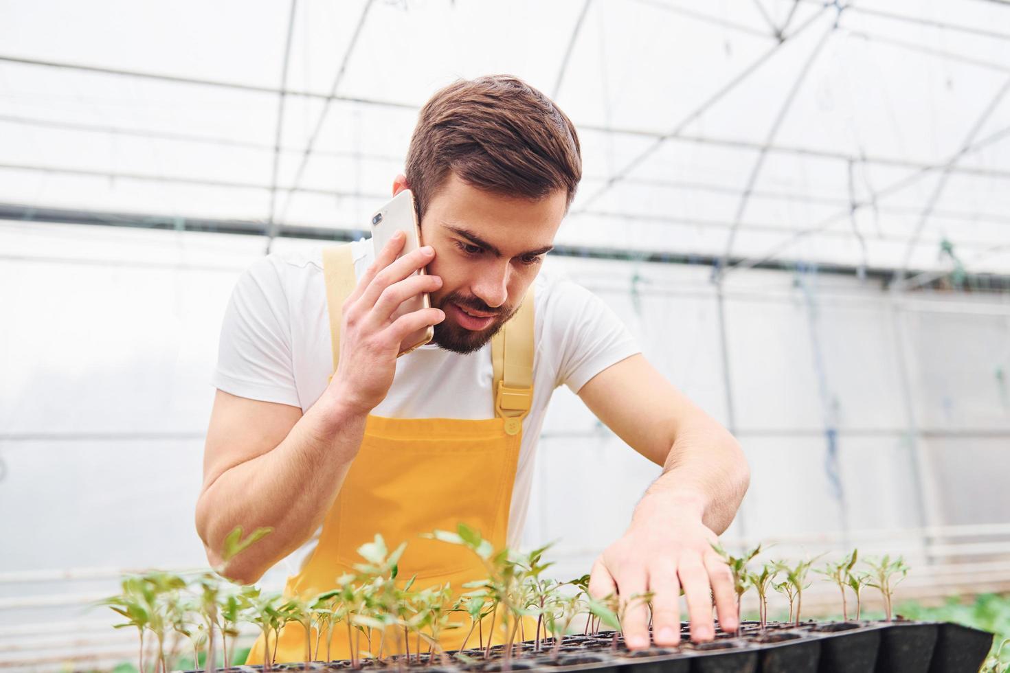 Taking care of plants in the black stand and talking by phone. Young greenhouse worker in yellow uniform have job inside of hothouse photo