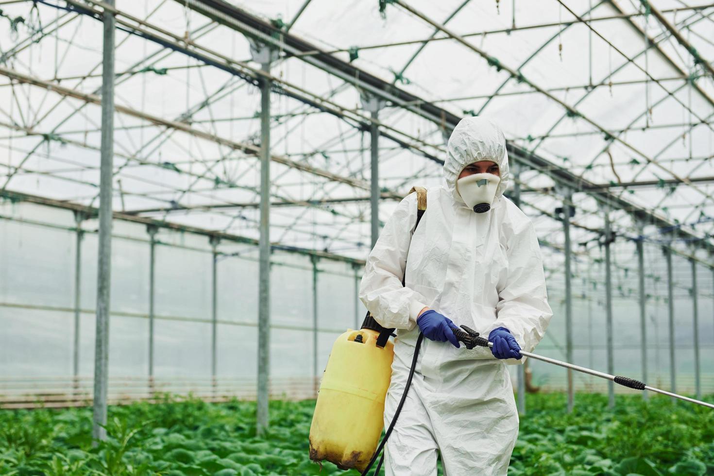 joven trabajadora de invernadero con uniforme protector blanco lleno de plantas de riego dentro del invernadero foto