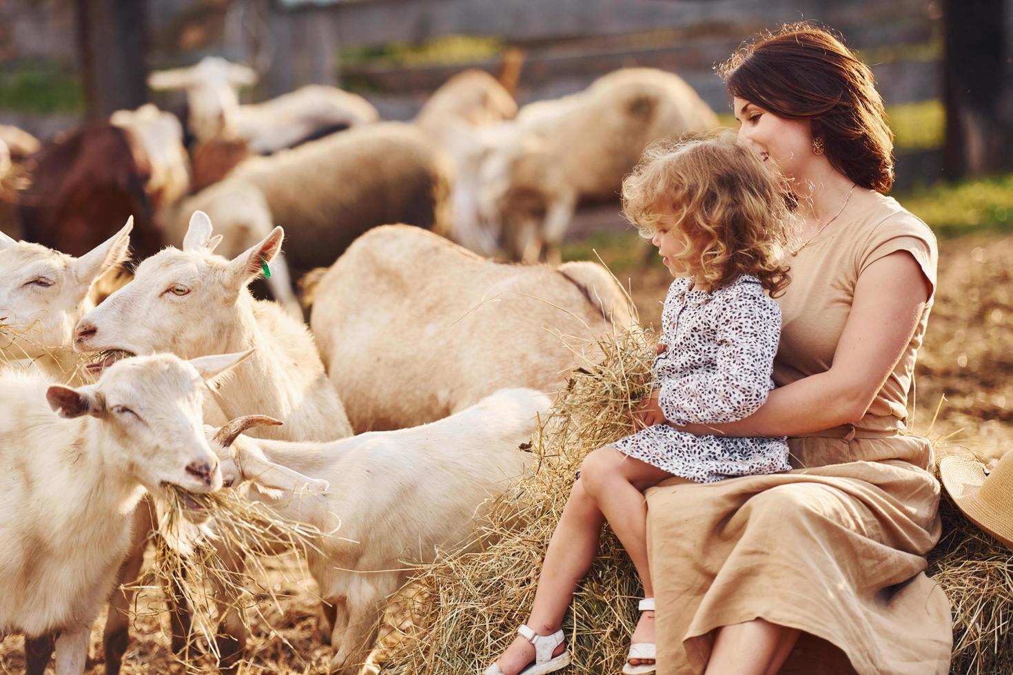 la joven madre con su hija está en la granja en verano con cabras foto