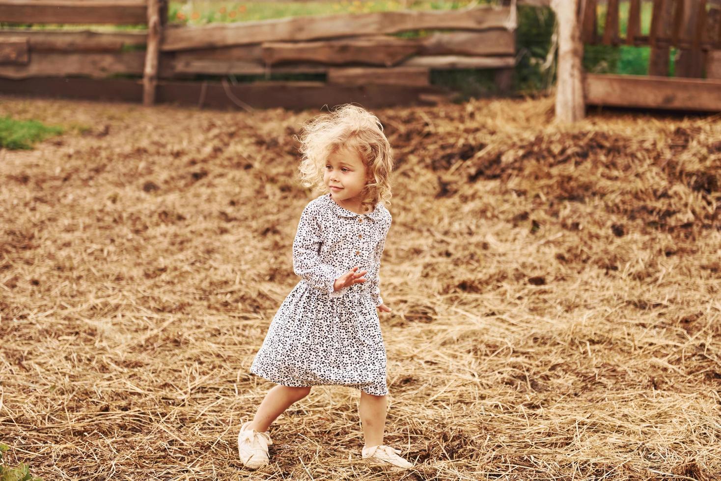 Little girl in blue clothes is on the farm at summertime outdoors photo