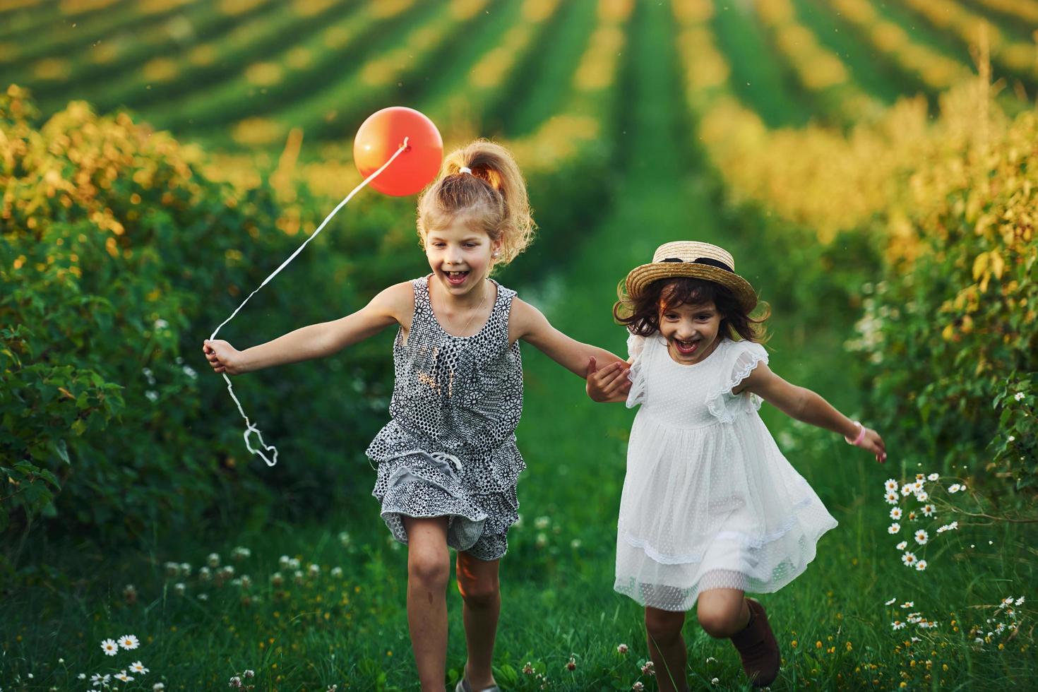 Two little girls with red balloon running together on the field at summer daytime photo