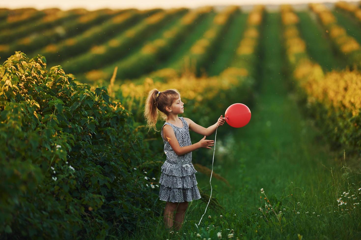 Positive little girl with red balloon in hands have fun on the field at