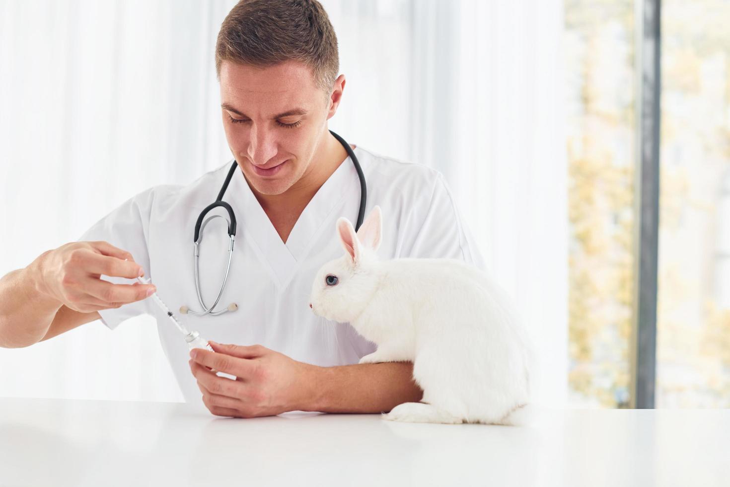 utiliza estetoscopio. el joven veterinario está adentro con un conejito. concepción de la salud foto