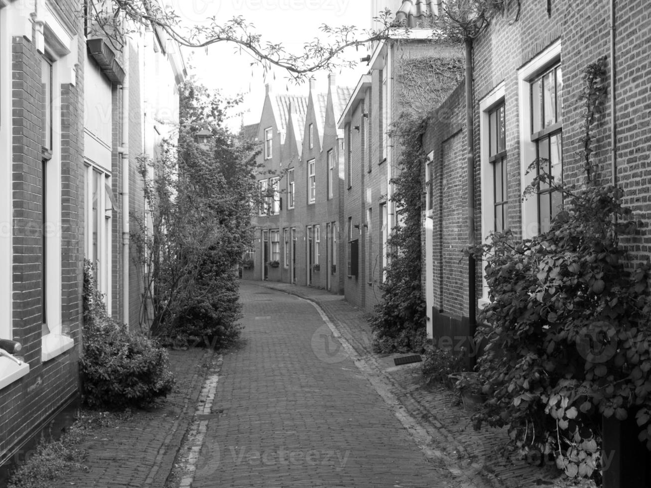 haarlem in the netherlands photo