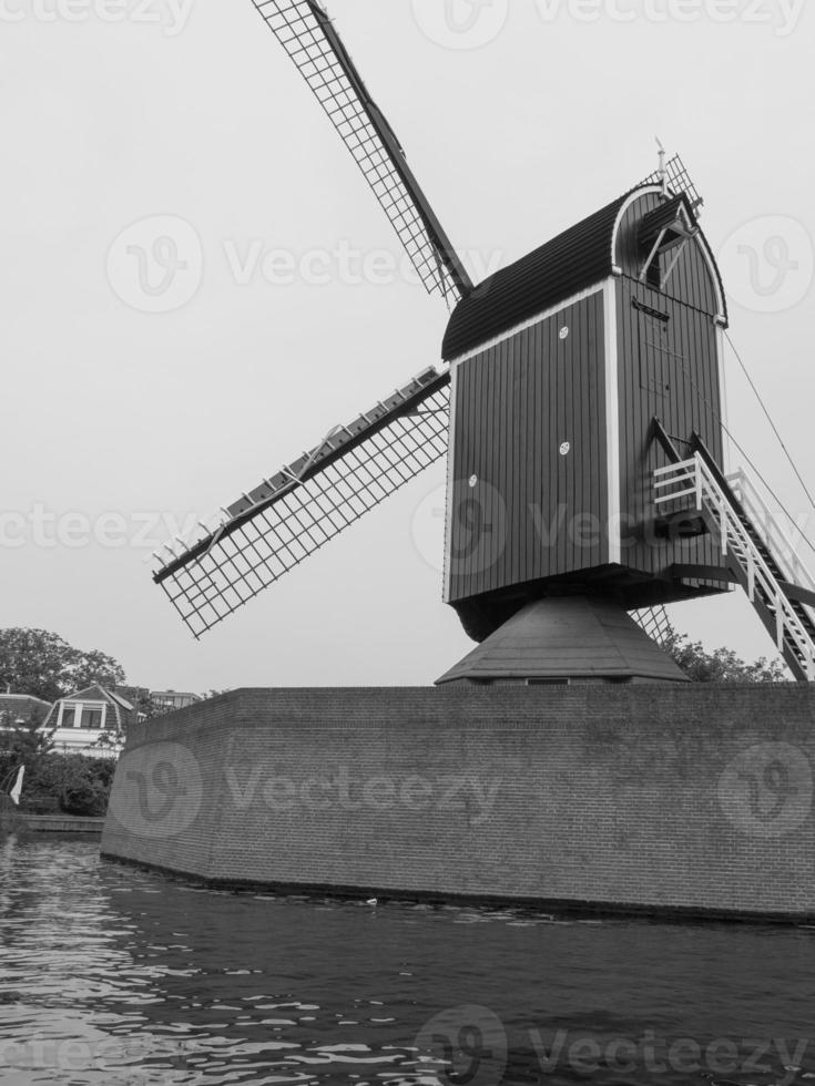 haarlem in the netherlands photo