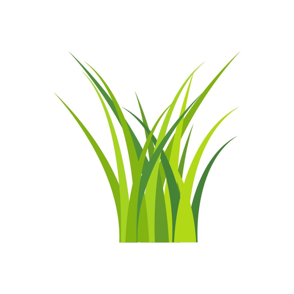 Grass vector isolated on white background