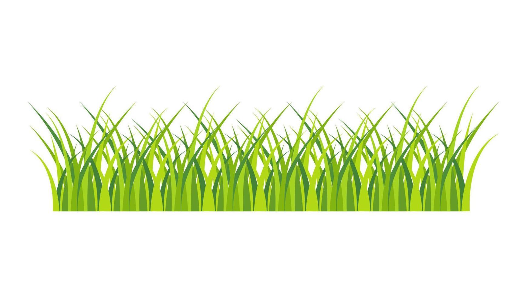 vector de banner de hierba aislado sobre fondo blanco
