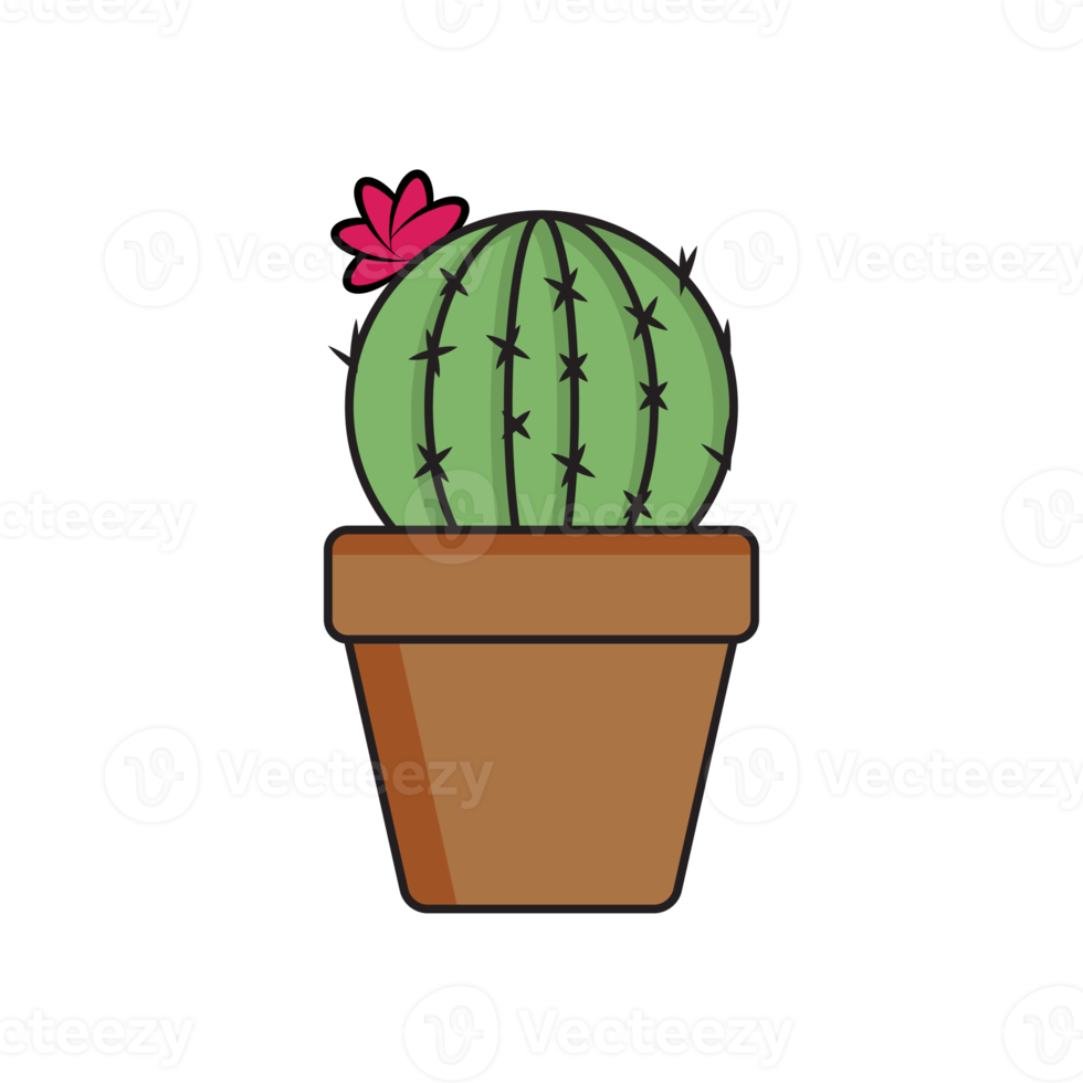 estetico carino cactus Piano collezione png