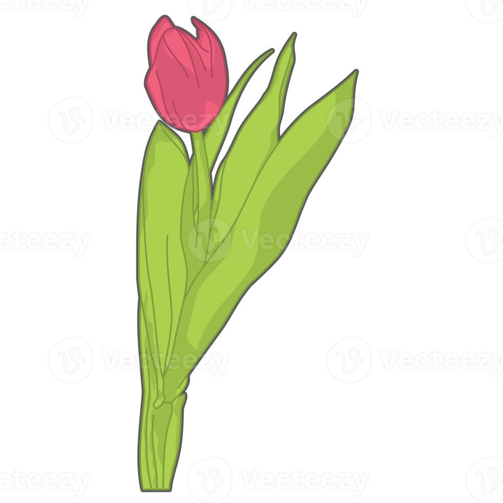 Ästhetisches niedliches rotes Tulpenblumen-Kugeljournal png