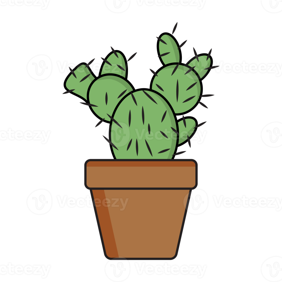 esthetisch schattig cactus plan verzameling png