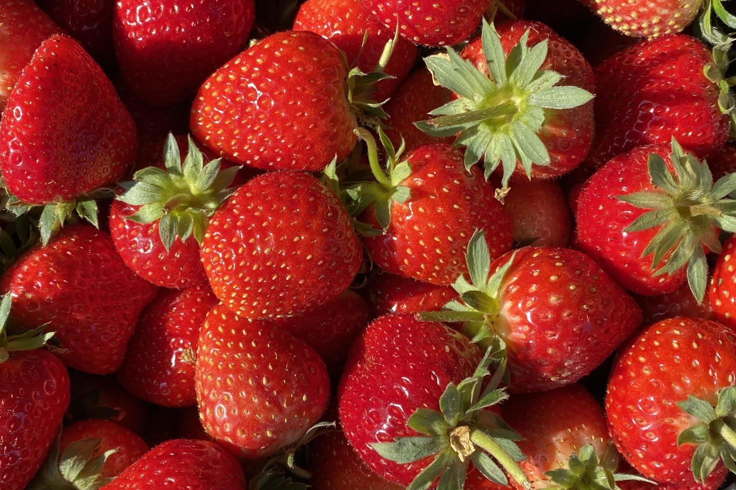 The red strawberry for background photo