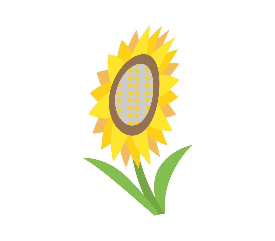 sunflower on white Pro vector