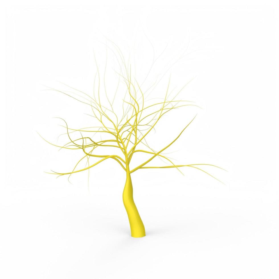 roots isolated on white background photo