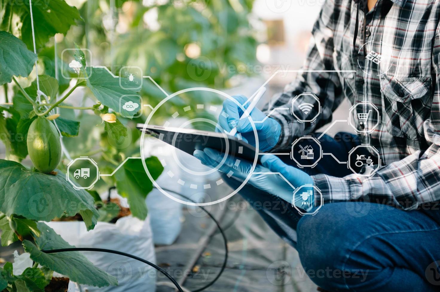 Agriculture technology farmer woman holding tablet or tablet technology to research about agriculture problems analysis data and visual icon. photo