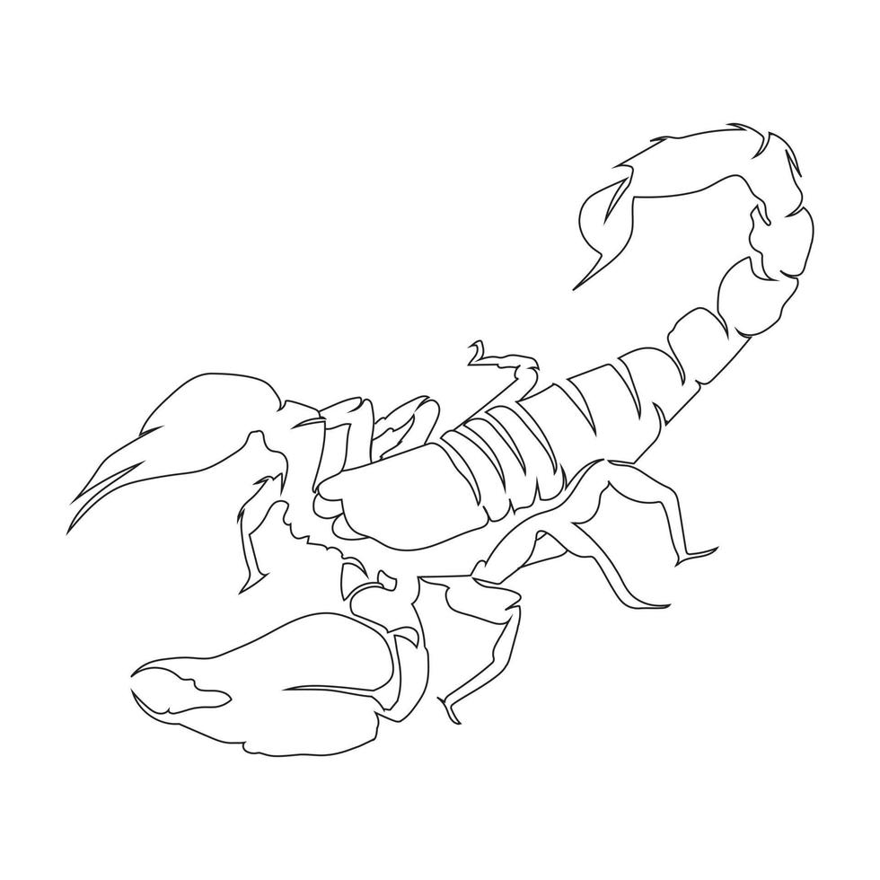 Scorpions line art drawing style, the Scorpions sketch black linear isolated on white background, the best Scorpions line art vector illustration.