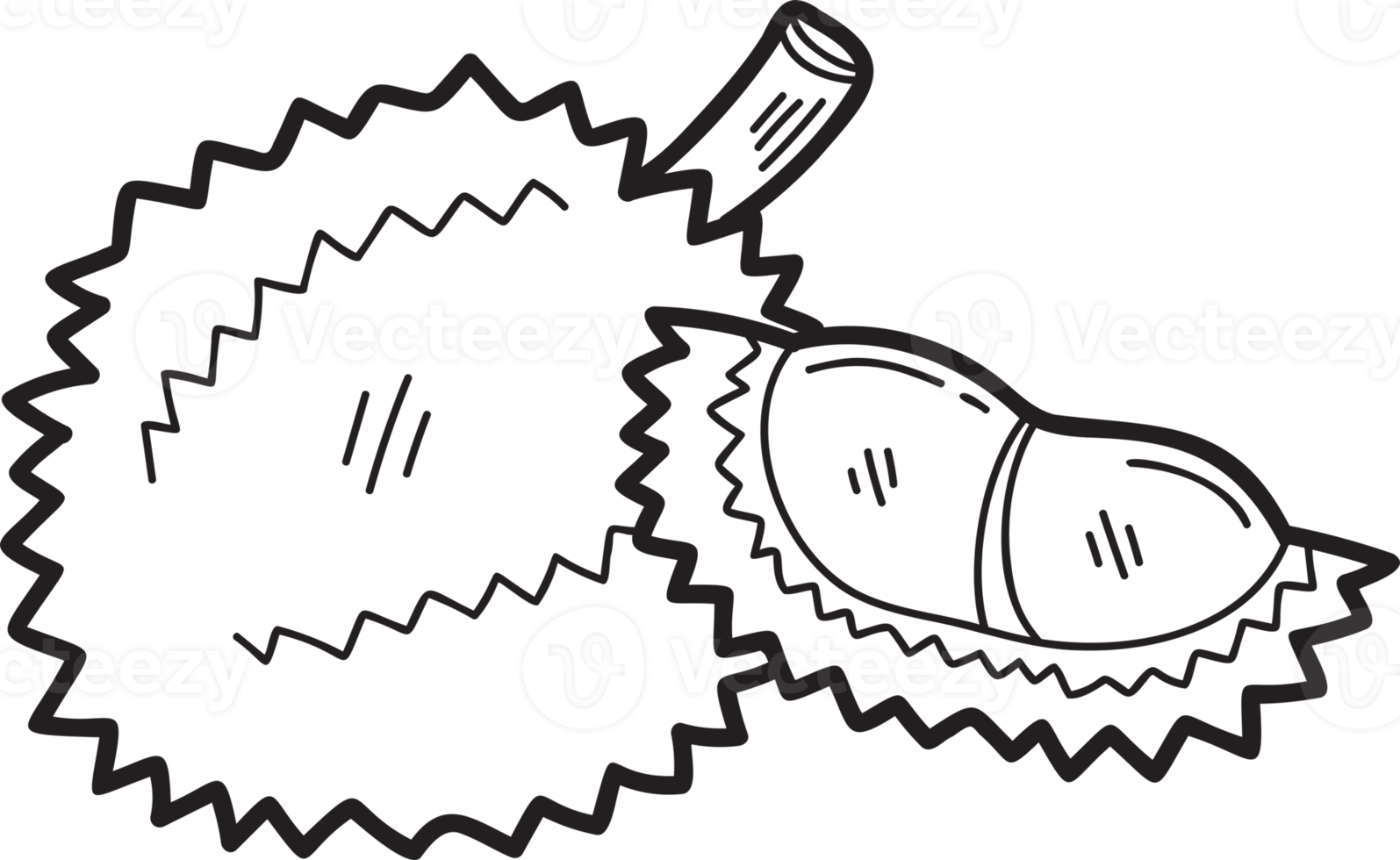 Hand Drawn durian fruit illustration 16733245 PNG