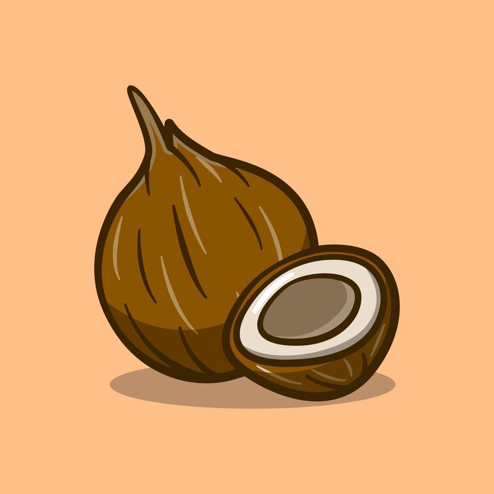 ripe coconut or old coconut illustration image in cartoon style on isolated background vector