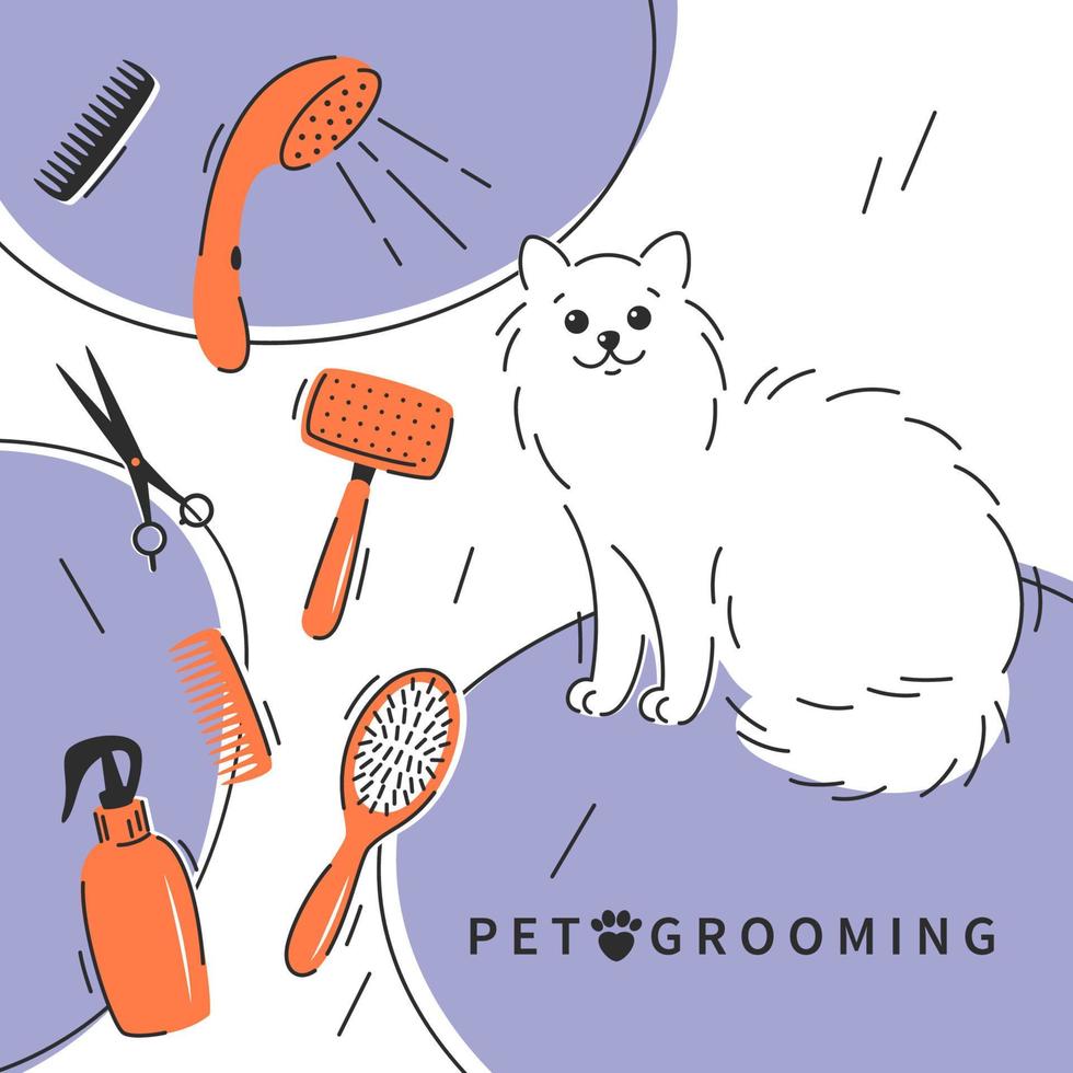 salón de cuidado de mascotas. aseo de mascotas. personaje de gato de dibujos animados con diferentes herramientas para el cuidado del cabello animal, cortes de pelo, baño, higiene. concepto de salón de cuidado de mascotas. vector