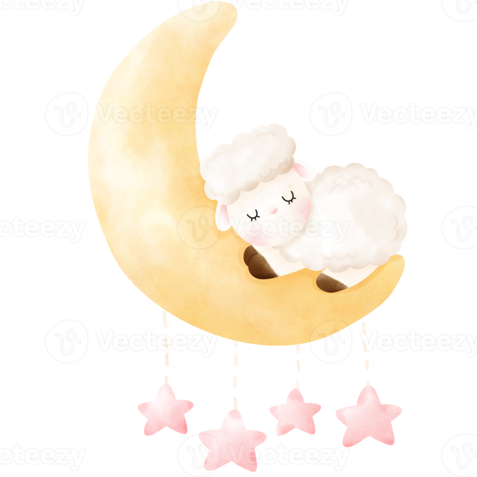 Cute Sheep illustration png