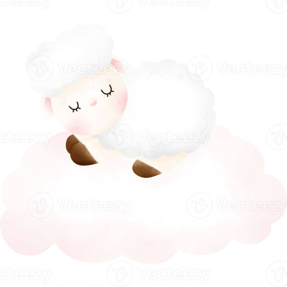 Cute Sheep illustration png