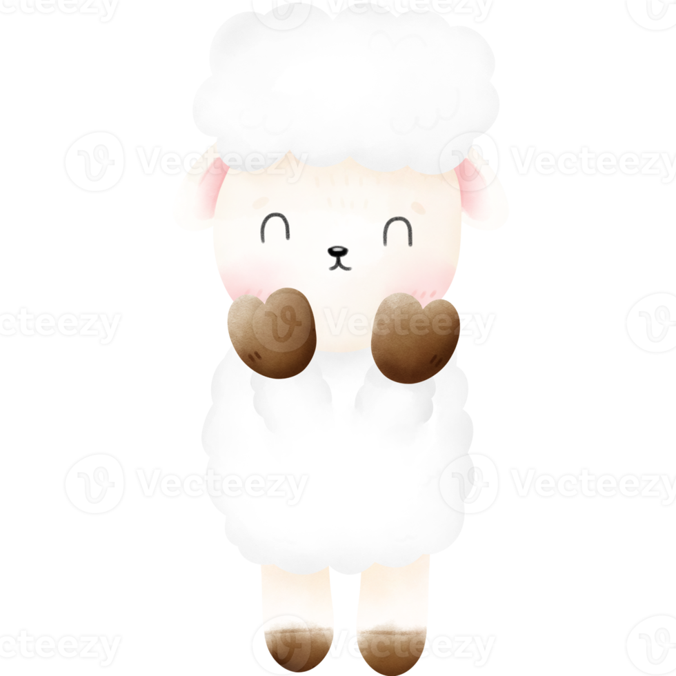Cute Sheep illustration 16733722 PNG