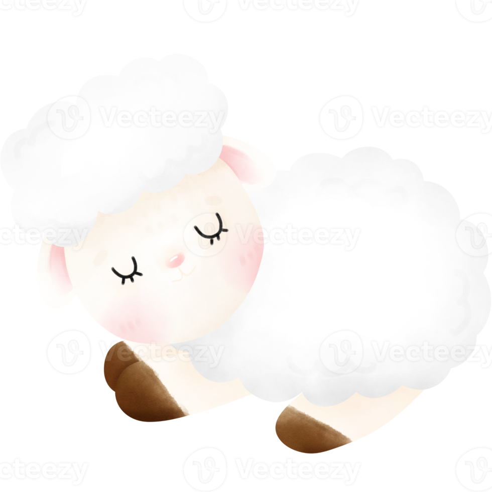 Cute Sheep illustration 16733730 PNG