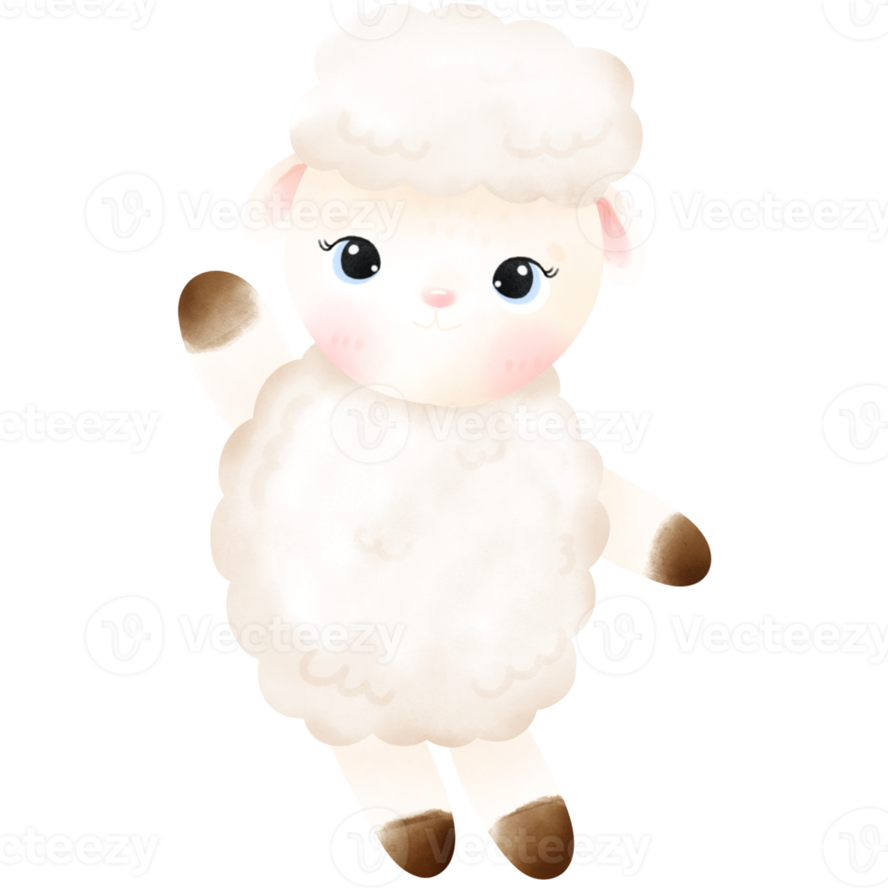 Cute Sheep illustration png