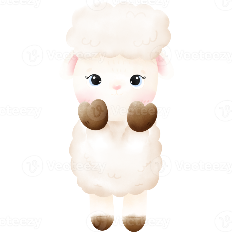 Cute Sheep illustration png