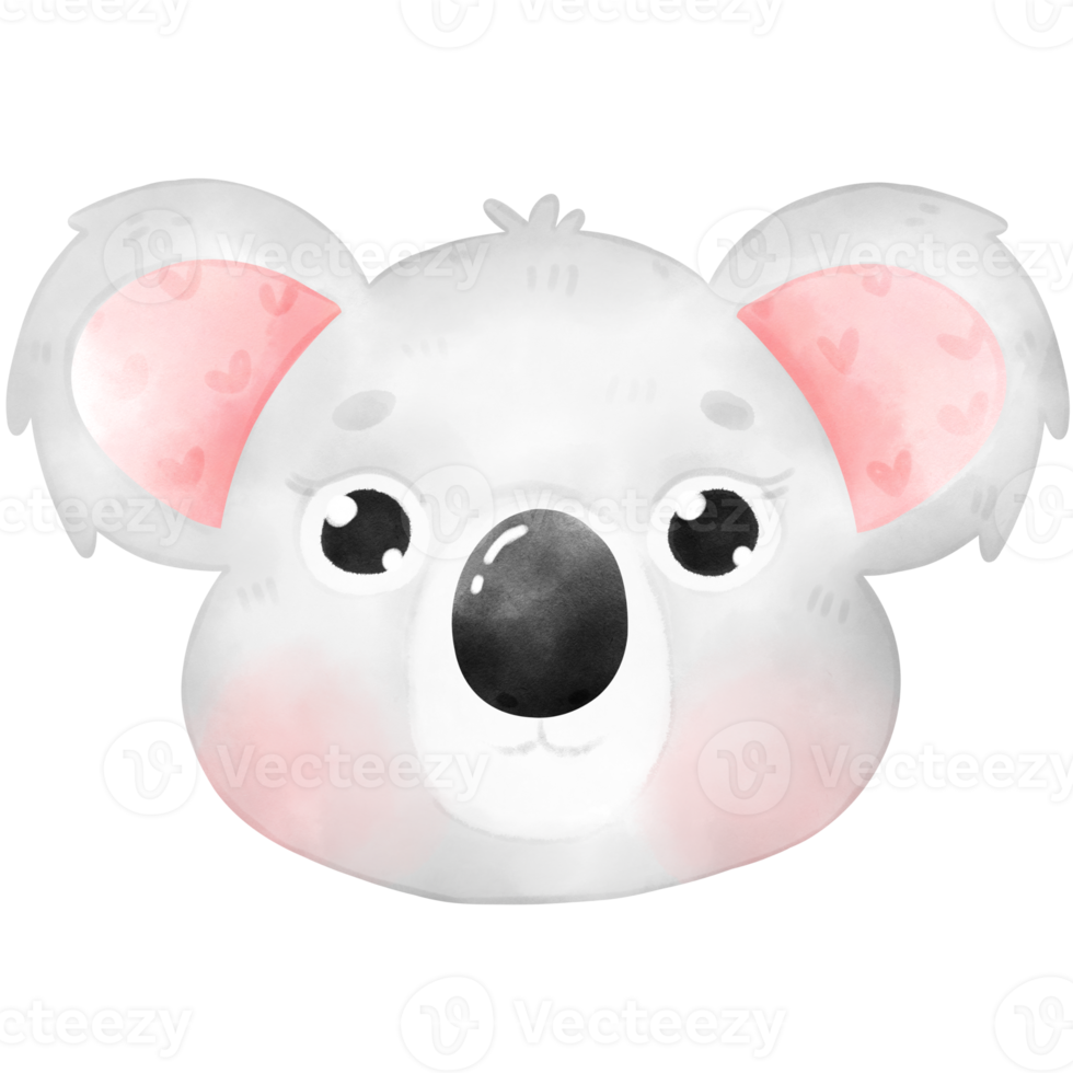 illustration de koala mignon png