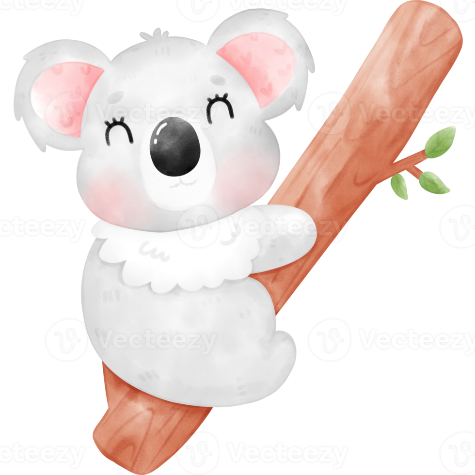 Cute Koala Illustration png