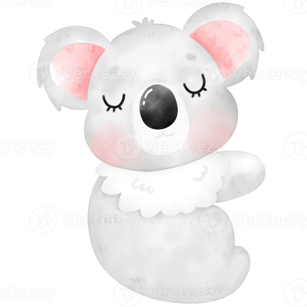 Cute Koala Illustration png