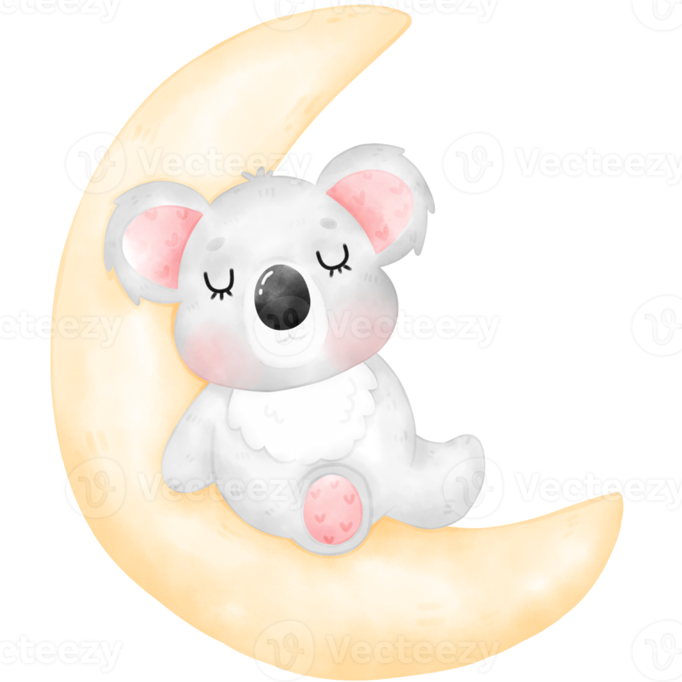 Cute Koala Illustration png