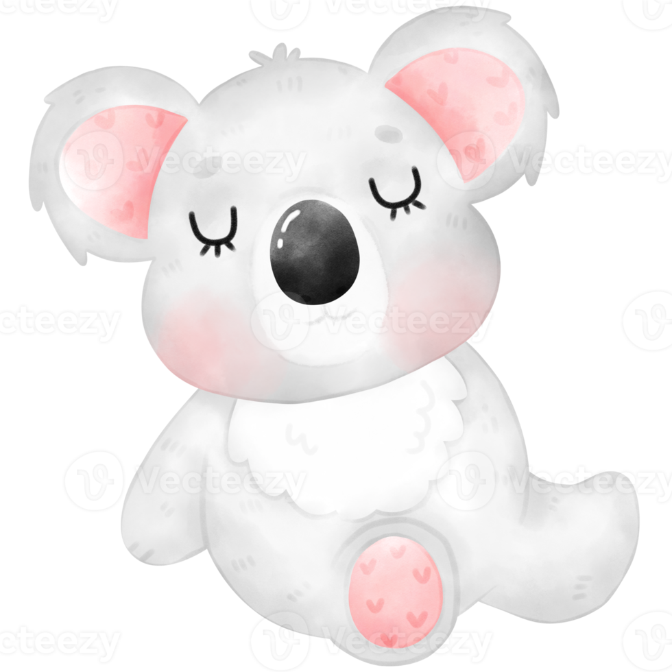 Cute Koala Illustration png