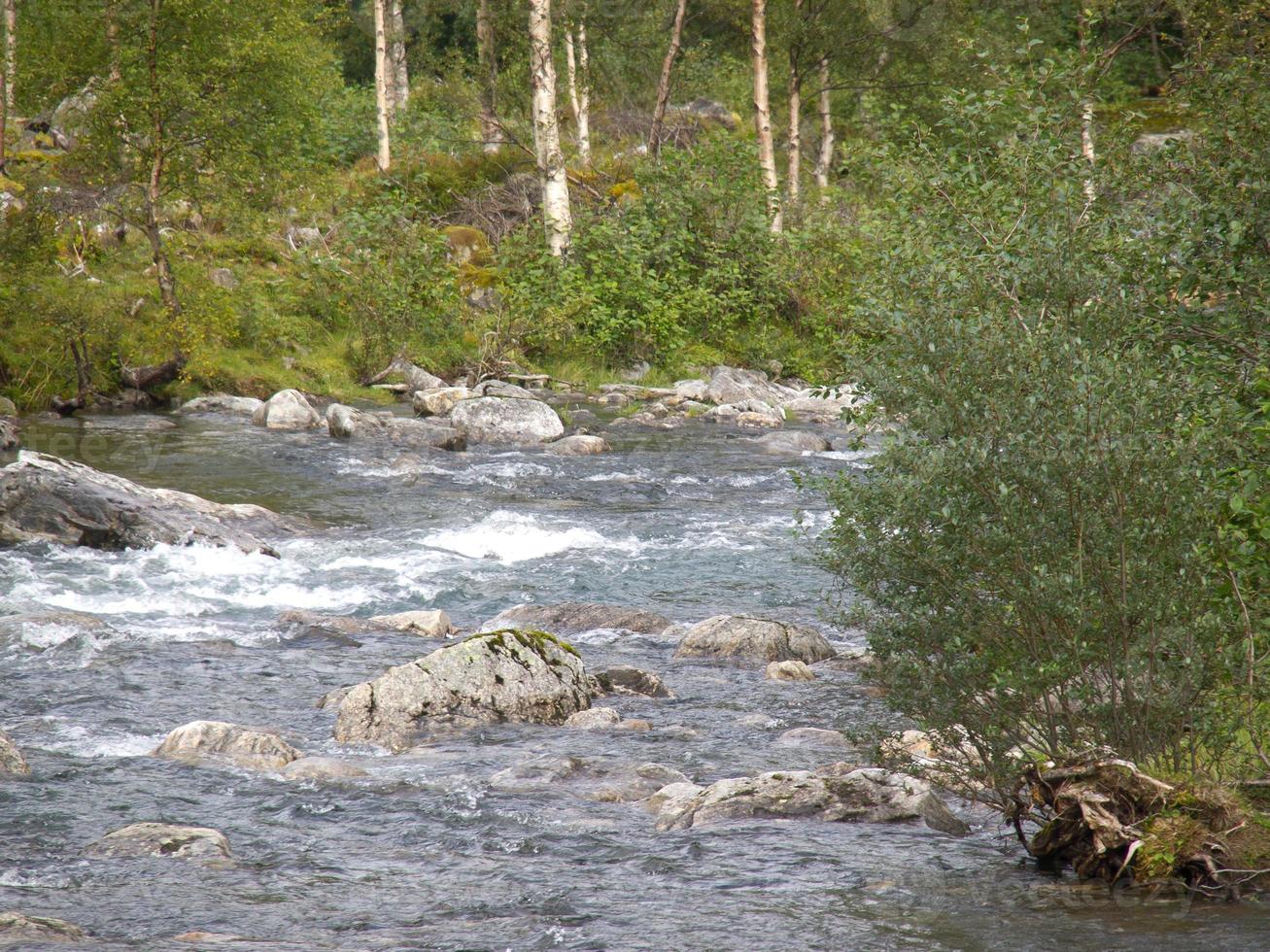 the fjords of norway photo